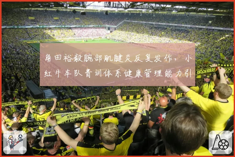 角田裕毅腕部肌腱炎反复发作，小红牛车队青训体系健康管理能力引发担忧？