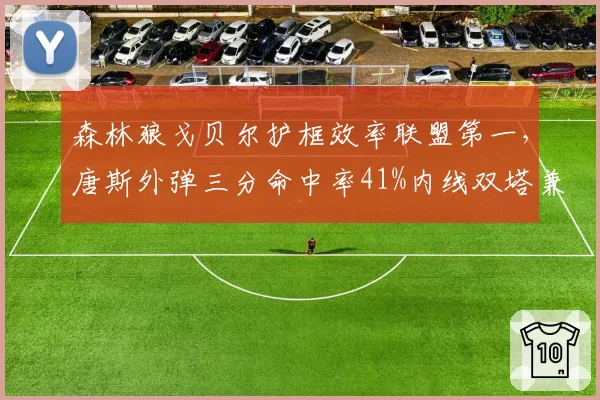 森林狼戈贝尔护框效率联盟第一，唐斯外弹三分命中率41%内线双塔兼容
