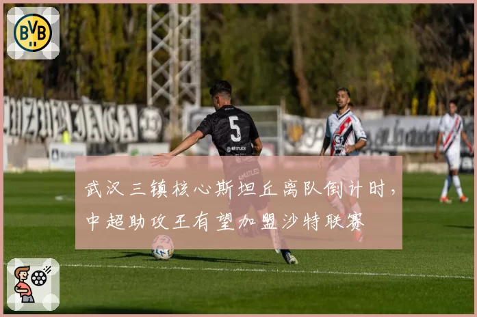 武汉三镇核心斯坦丘离队倒计时，中超助攻王有望加盟沙特联赛